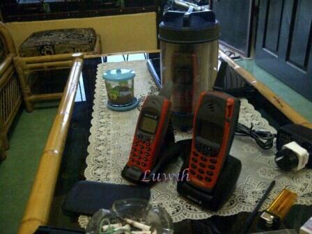 Ericsson R310 AKA Hiu Orange MAHAL BUKAN COLLECTOR' S ITEM