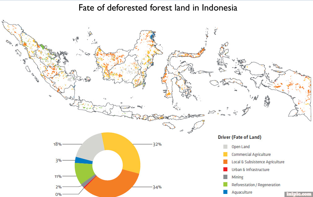 Indonesia punya kenaikan laju deforestasi terbesar di dunia