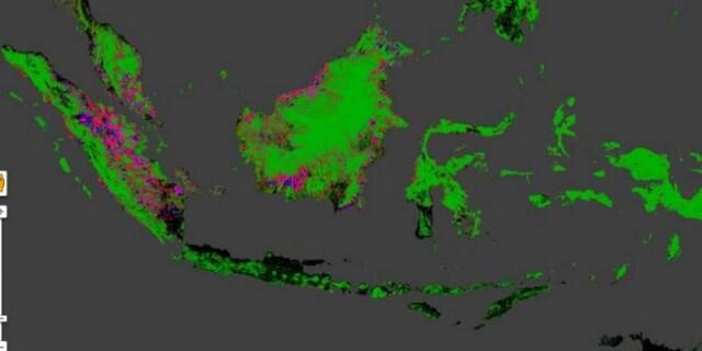 Indonesia punya kenaikan laju deforestasi terbesar di dunia