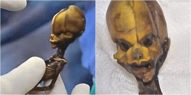 Mayat Manusia Setengah Alien?