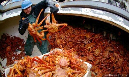 5 Pekerjaan yang menjadi NYAWA Taruhannya