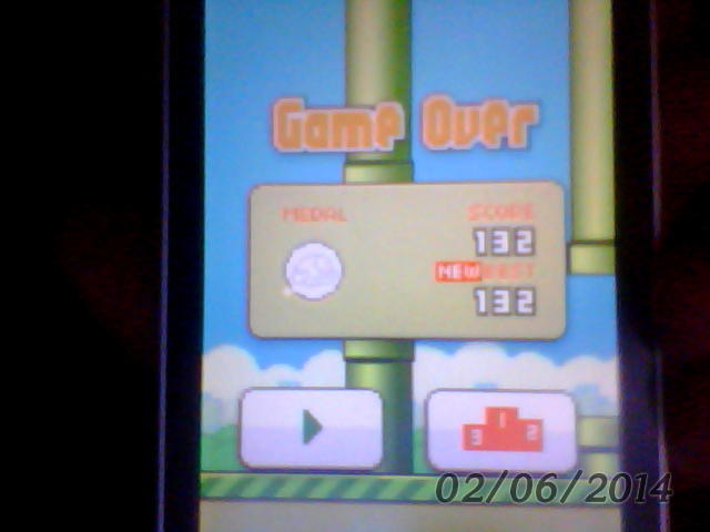 (Tread Pertama ane gan, Newbie) ga nyangka gan, Score flappy bird ane nyampe 132..