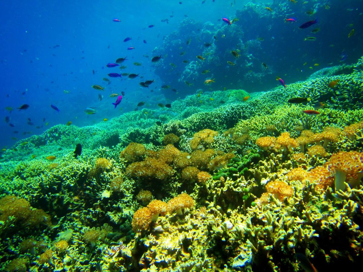 &#91;pic&#93;MENJANGAN ISLAND &#91;KEINDAHAN YANG TERSEMBUNYI&#93;
