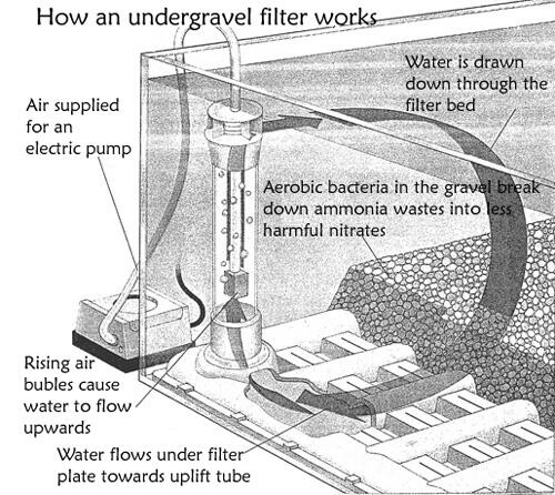 Undergravel kit for graveled aquarium