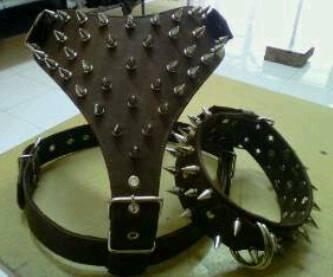 SPIKE COLLAR UNTUK ANJING (PITBUL, DOBERMAN, ROTWEILER) BIAR MAKIN SANGAR !!!!