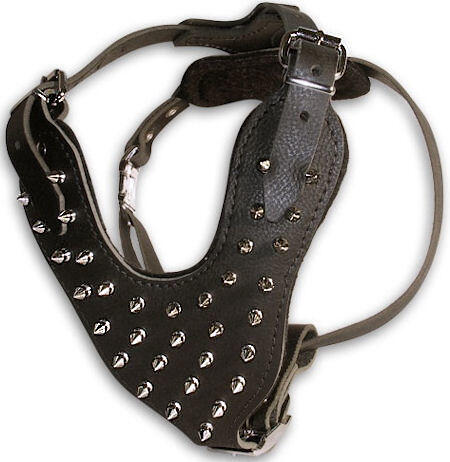 SPIKE COLLAR UNTUK ANJING (PITBUL, DOBERMAN, ROTWEILER) BIAR MAKIN SANGAR !!!!