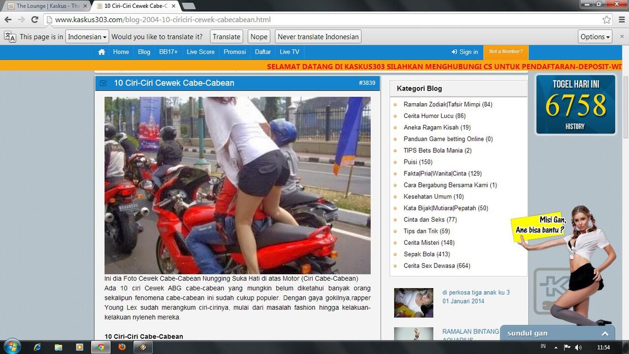 APA INI ???