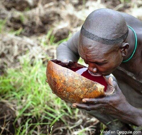 Tradisi minum darah di pedalaman Afrika