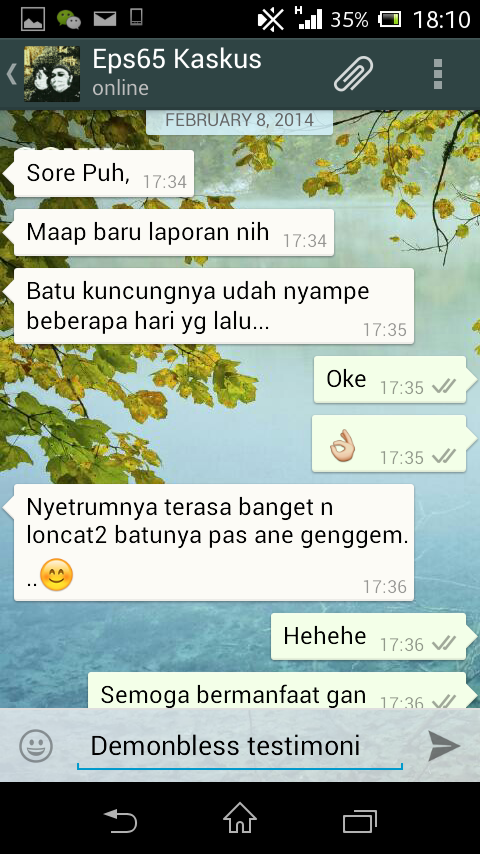 Testimonial Lelang Demonbless.... 