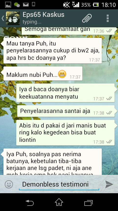 Testimonial Lelang Demonbless.... 