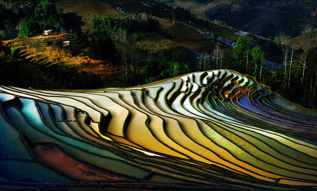 Foto foto Terbaik Sony World Photography Awards 2014