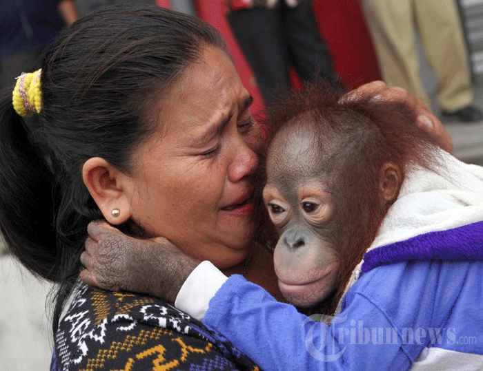 Sun Go Kong Ditangisi Mamanya Waktu Turun Gunung