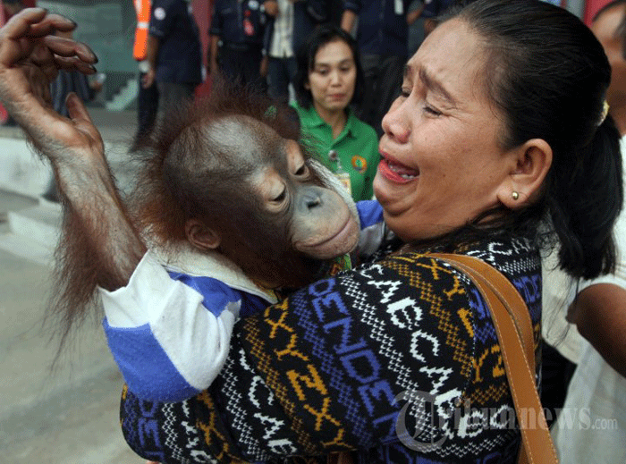 Sun Go Kong Ditangisi Mamanya Waktu Turun Gunung