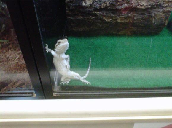 semoga bisa menghibur ..