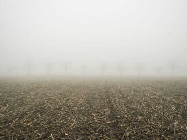35 Foto "Nominasi Sony World Photography Awards"
