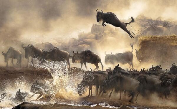 35 Foto "Nominasi Sony World Photography Awards"