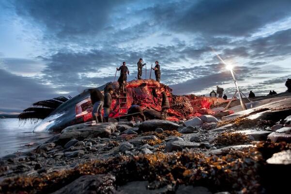 35 Foto "Nominasi Sony World Photography Awards"