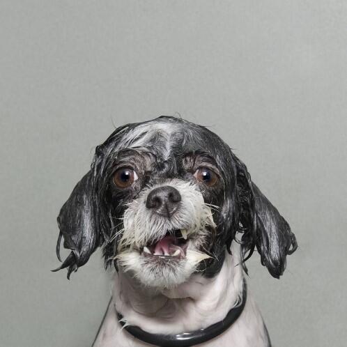 35 Foto "Nominasi Sony World Photography Awards"