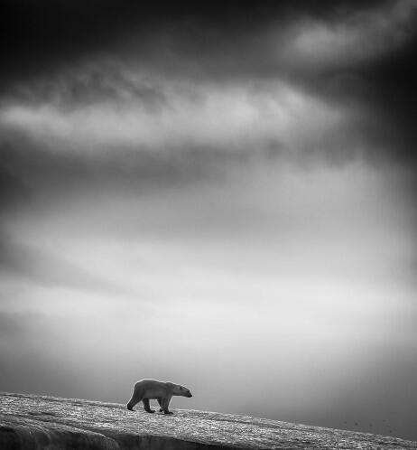 35 Foto "Nominasi Sony World Photography Awards"