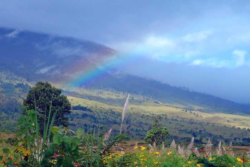 Eksotisme Pelangi dari Berbagai Belahan Dunia