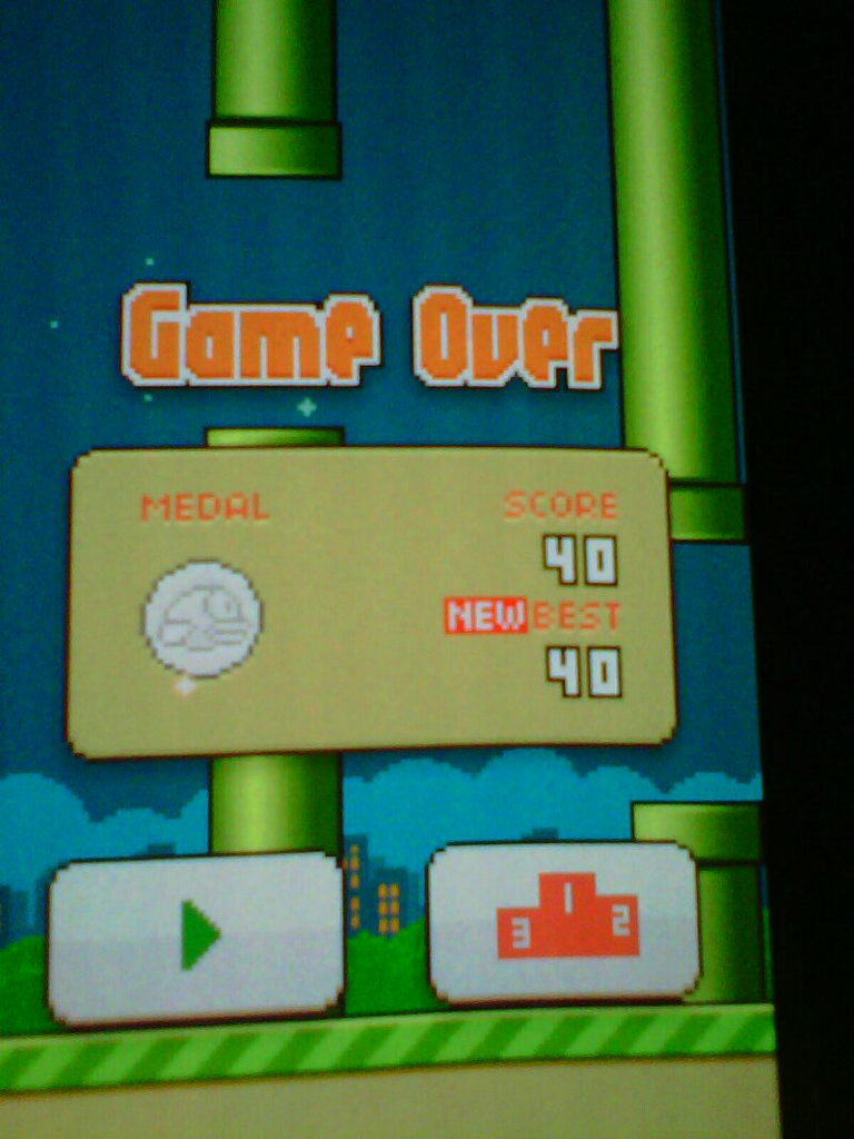 &#91;HOT SCORE&#93; FLAPPY BIRD. pamer score ente disini ya...