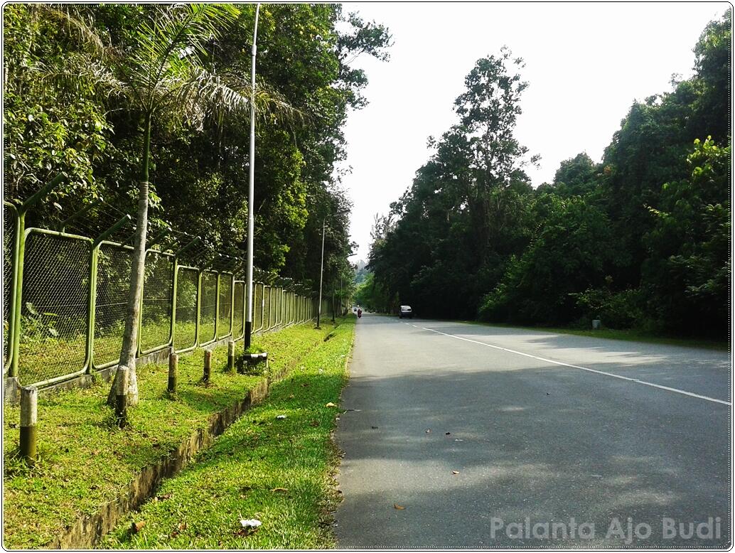 21 Jalan Paling Mengesankan di Dunia KASKUS 21 Jalan Paling Mengesankan di Dunia KASKUS