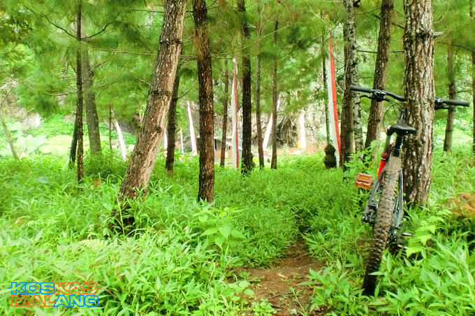KOSKAS MALANG - ride & share