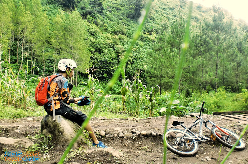 KOSKAS MALANG - ride & share