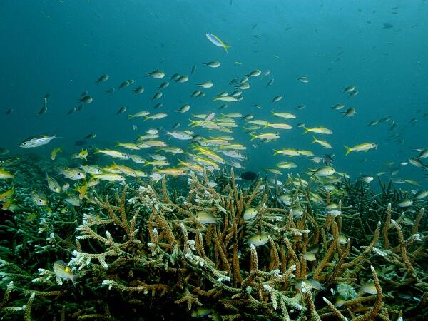40 Jam Perjalanan Tim Jelajah Nusantara di Pulau Weh
