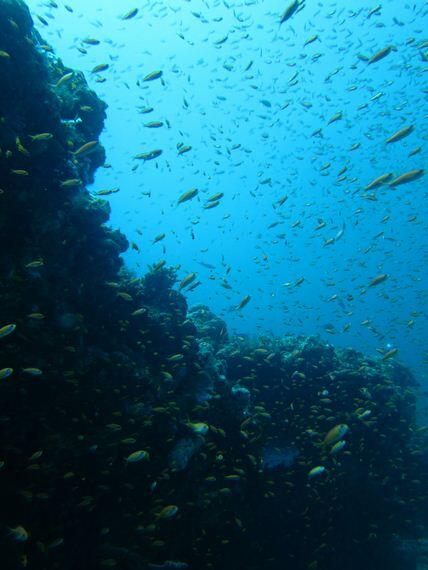 40 Jam Perjalanan Tim Jelajah Nusantara di Pulau Weh