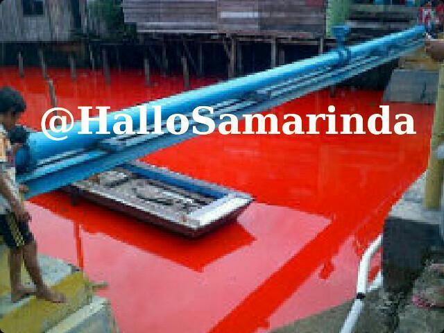 Heboh, Sungai Tanjung Laut-Bontang Mendadak Berwarna Merah Darah