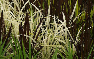 &#91;wOOW,KERREEENN GAN&#93; tTANBO ART ## seni melukis diatas sawah ##
