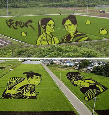 &#91;wOOW,KERREEENN GAN&#93; tTANBO ART ## seni melukis diatas sawah ##