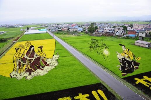 &#91;wOOW,KERREEENN GAN&#93; tTANBO ART ## seni melukis diatas sawah ##