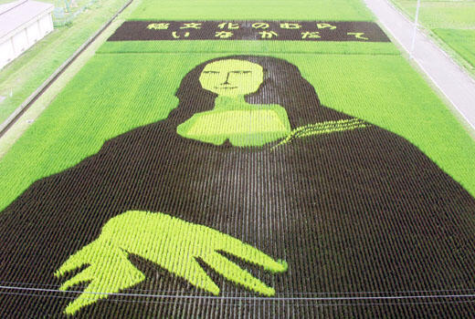 &#91;wOOW,KERREEENN GAN&#93; tTANBO ART ## seni melukis diatas sawah ##