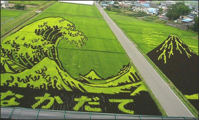 &#91;wOOW,KERREEENN GAN&#93; tTANBO ART ## seni melukis diatas sawah ##