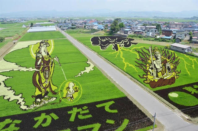&#91;wOOW,KERREEENN GAN&#93; tTANBO ART ## seni melukis diatas sawah ##