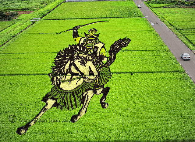 &#91;wOOW,KERREEENN GAN&#93; tTANBO ART ## seni melukis diatas sawah ##