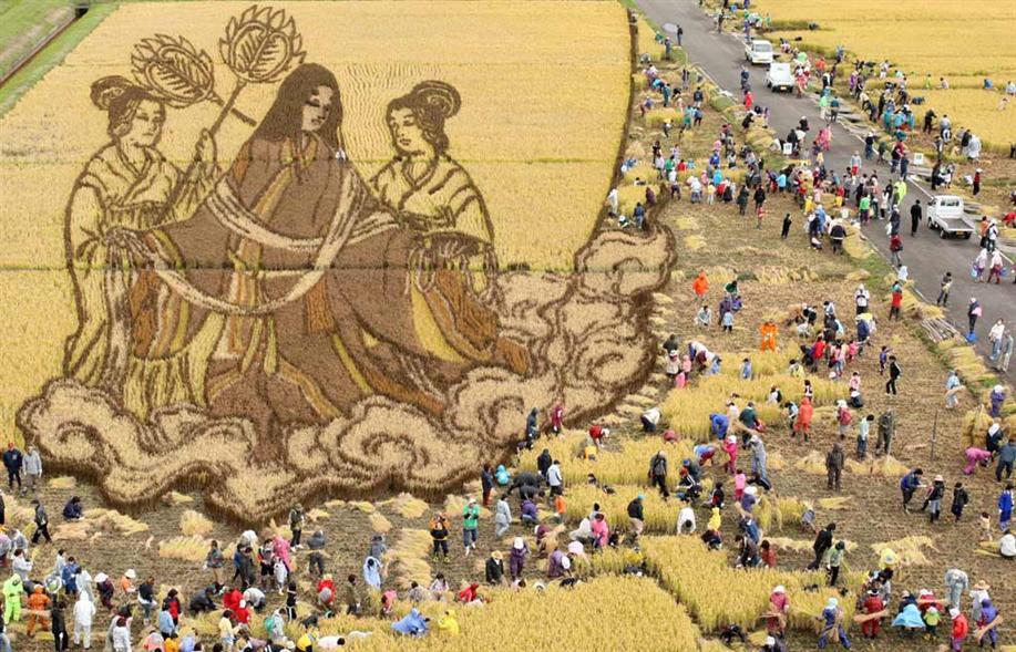 &#91;wOOW,KERREEENN GAN&#93; tTANBO ART ## seni melukis diatas sawah ##