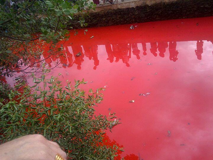 Air laut jembatan kuning, Bontang,Kalimantan Timur berubah warna MERAH!!