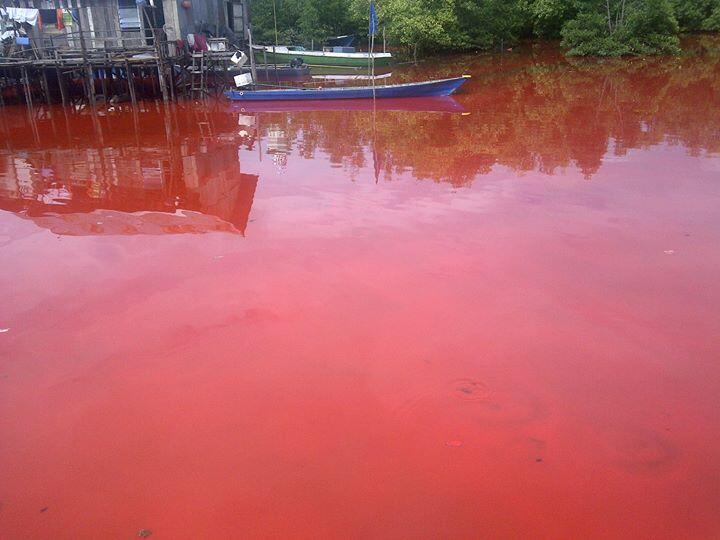 Air laut jembatan kuning, Bontang,Kalimantan Timur berubah warna MERAH!!