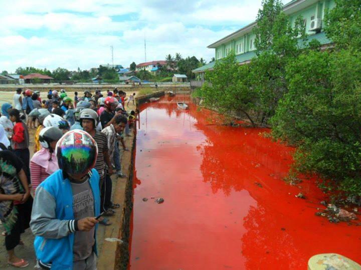 Air laut jembatan kuning, Bontang,Kalimantan Timur berubah warna MERAH!!