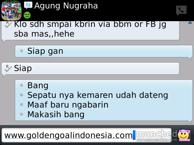 Terjual GOLDEN GOAL INDONESIA - Sepatu futsal Adidas, Nike