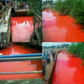 Laut jadi merah akibat limbah