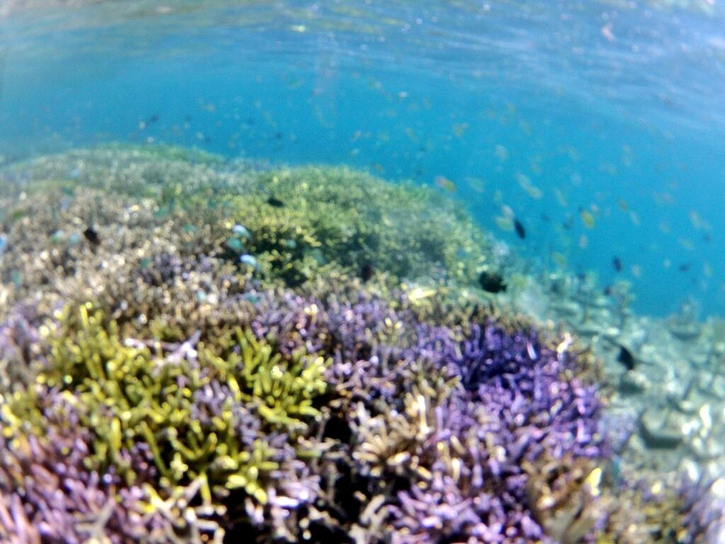 Melarikan diri ke atas bukit dan ke dasar laut di Lombok Timur