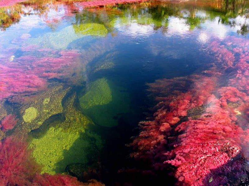 Mereka bilang, Inilah sungai terindah sedunia, bener gak sih ?