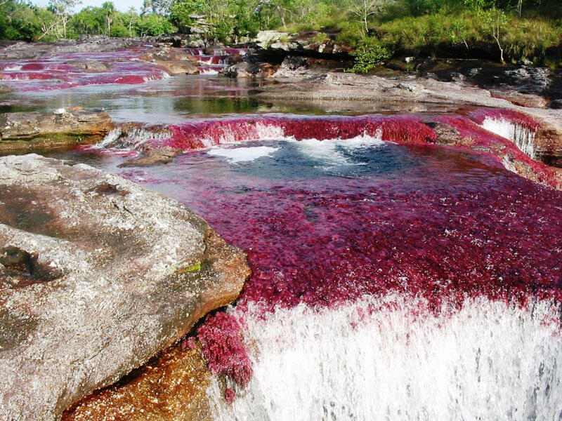 Mereka bilang, Inilah sungai terindah sedunia, bener gak sih ?