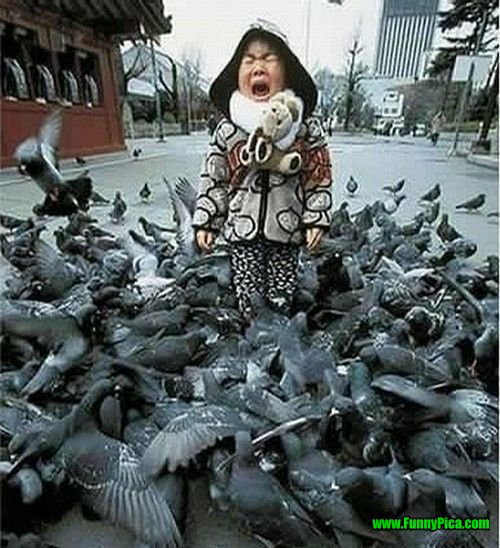 Kumpulan Gambar Penghilang Penat Dijamin Tertawa !!