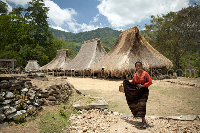 Amazing Flores - From East to West