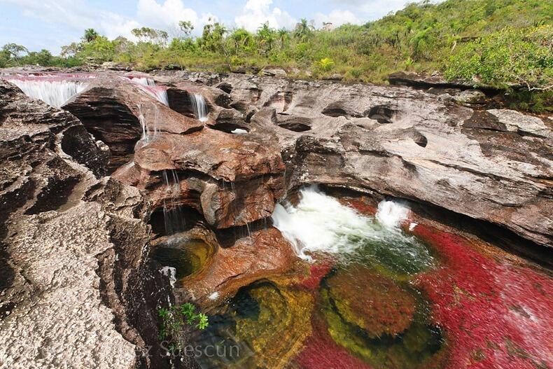 Indahnya Crystal River, Sungai dengan Warna Pelangi